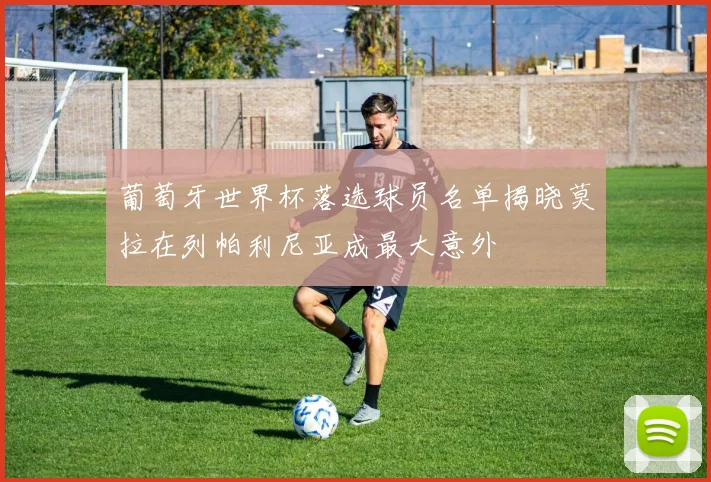 葡萄牙世界杯落选球员名单揭晓莫拉在列帕利尼亚成最大意外