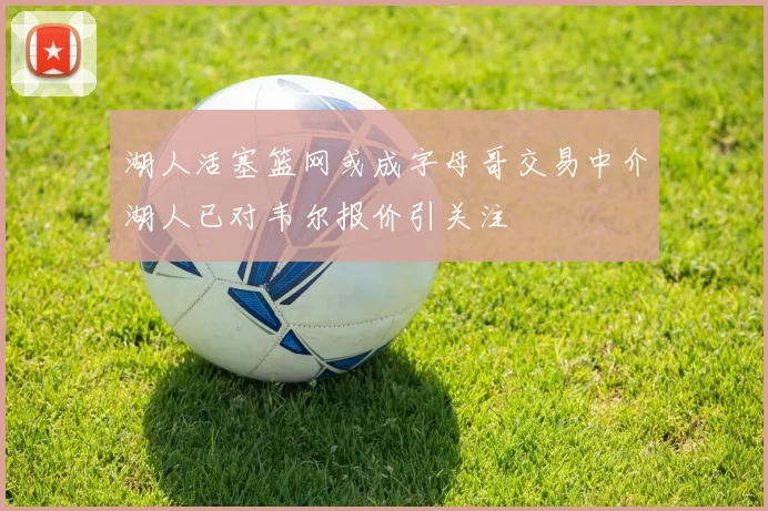 湖人活塞篮网或成字母哥交易中介湖人已对韦尔报价引关注